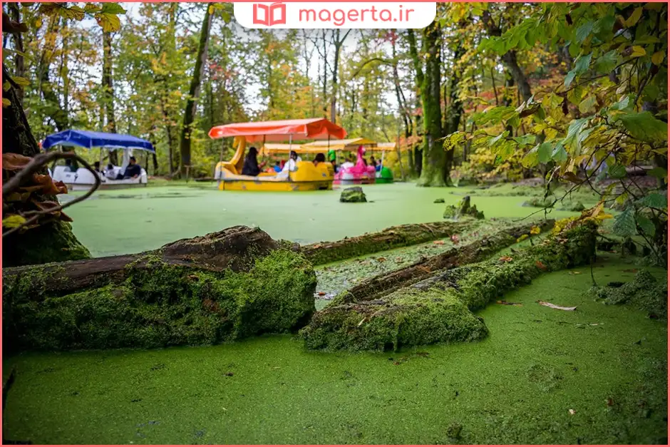 پارک جنگلی سراوان