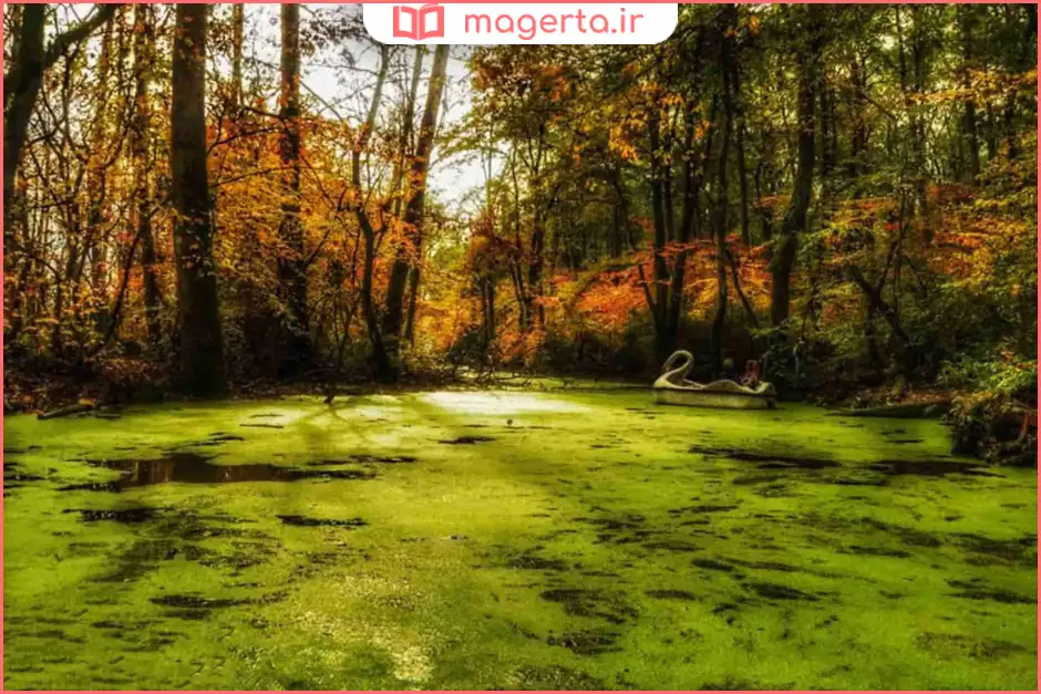 دریاچه سراوان