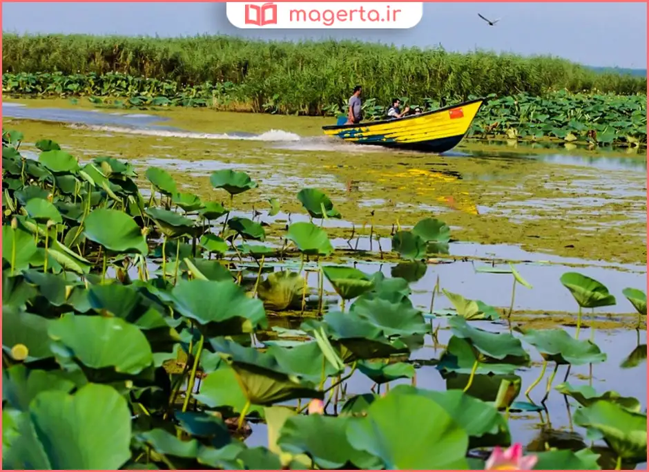 تالاب انزلی