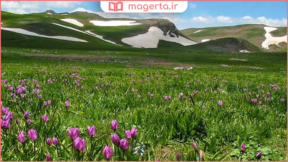 روستای هریس