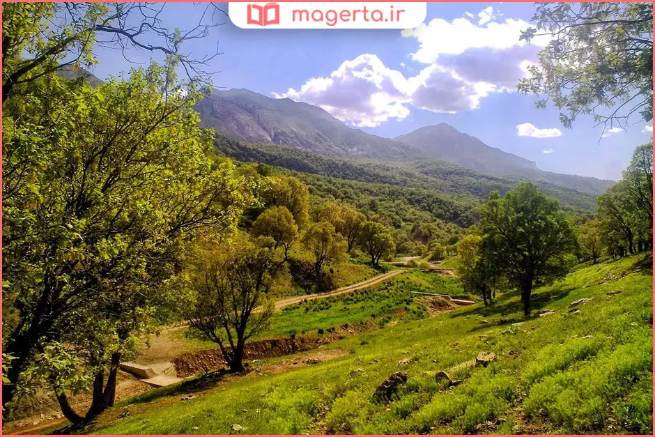 جنگل فندقلو