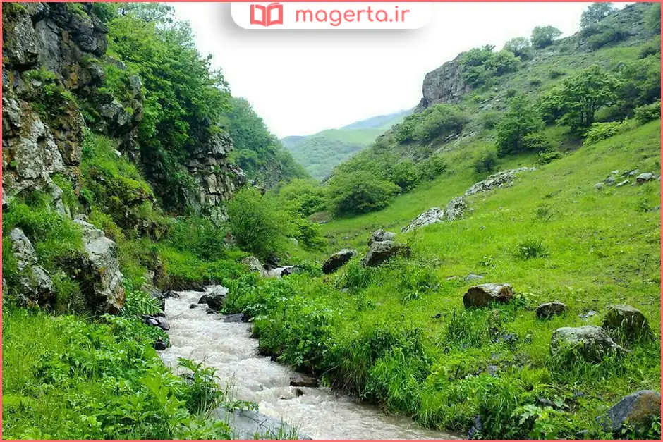 جنگل‌های مشگین‌ شهر