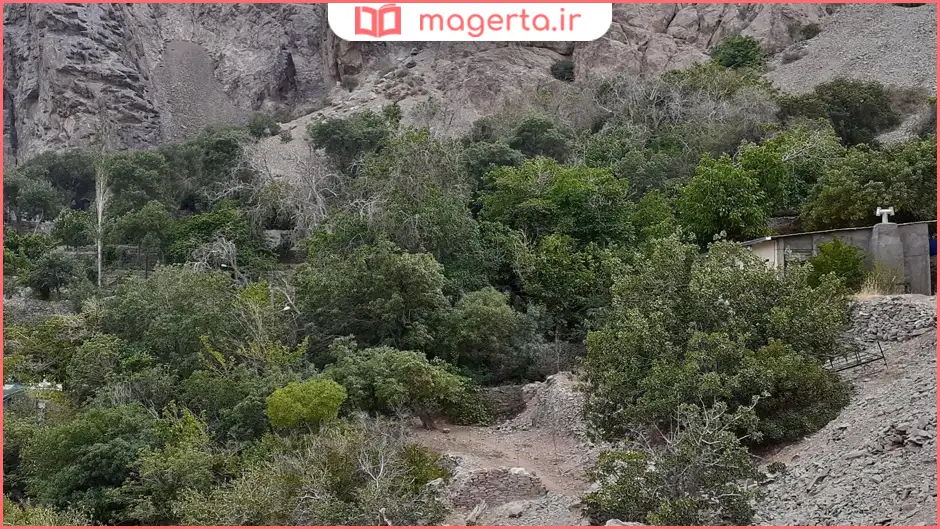 طبیعت اطراف آبشار گیوک