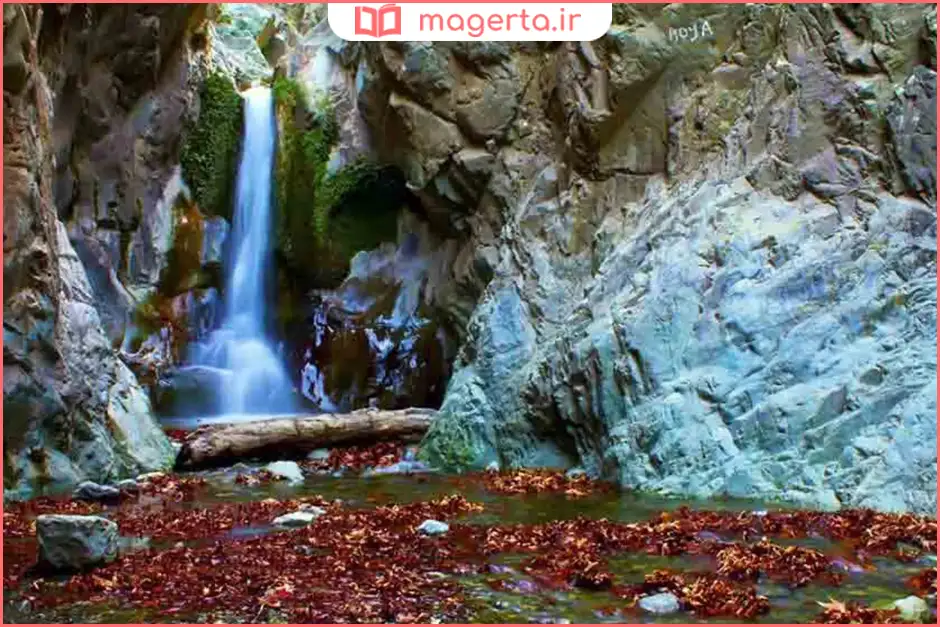 دلفارد کرمان