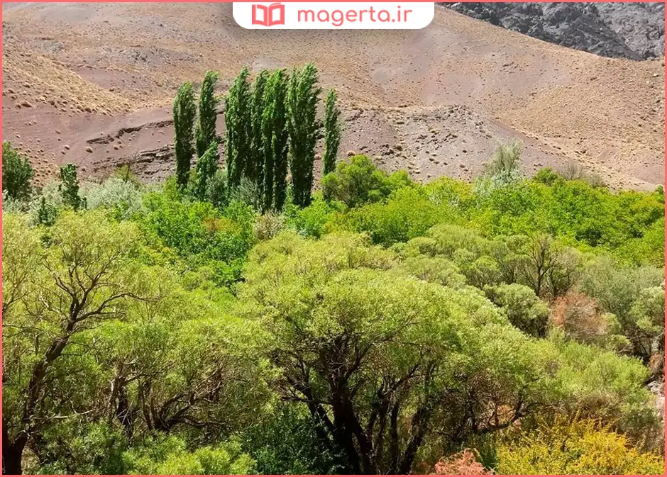 دره شنگستان کرمان