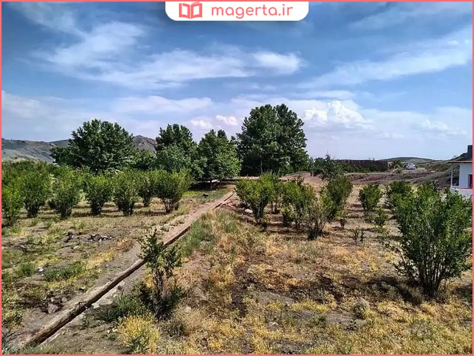 دشت‌های اطراف سبزوار در بهار