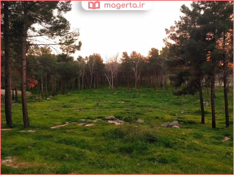 پارک جنگلی ورامین