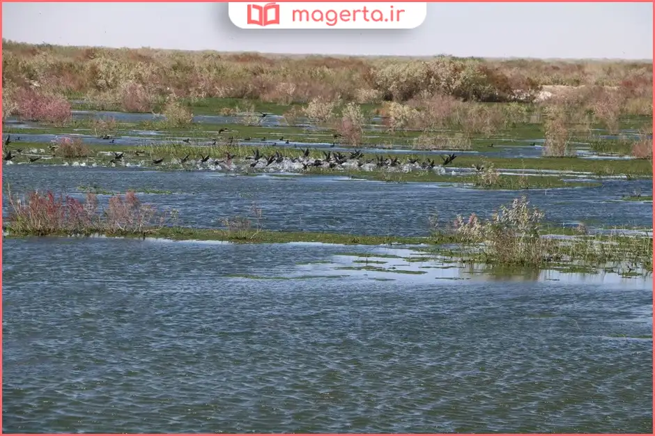 رودخانه شور ورامین