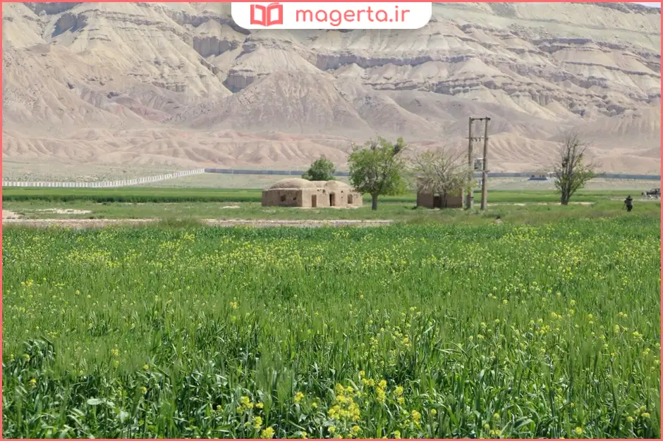 دشت ورامین در فصل بهار