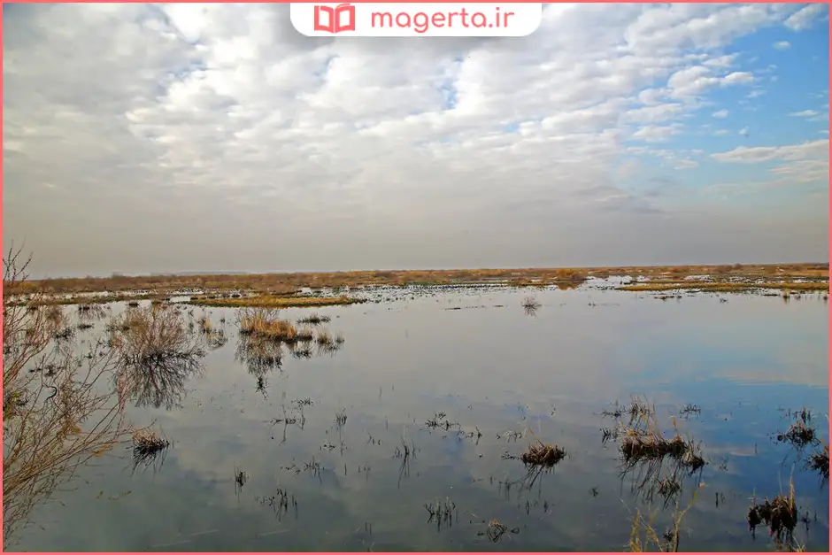 تالاب بند علیخان ورامین