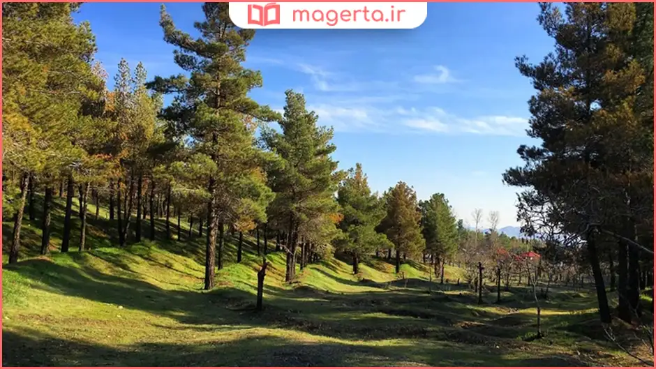 پارک جنگلی لویزان