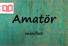 متن و ترجمه آهنگ Amatör از manifest