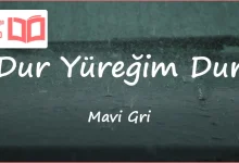 متن و ترجمه آهنگ DYD از Mavi Gri
