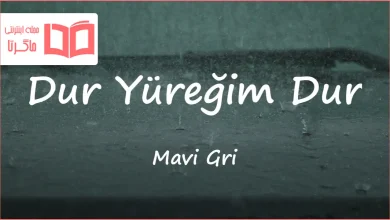 متن و ترجمه آهنگ DYD از Mavi Gri