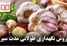 روش نگهداری طولانی مدت سیر