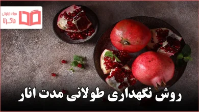 روش نگهداری طولانی مدت انار