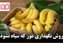 روش نگهداری موز که سیاه نشود