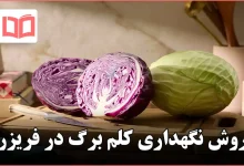 روش نگهداری کلم برگ در فریزر