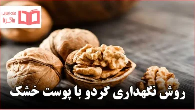 روش نگهداری گردو با پوست خشک