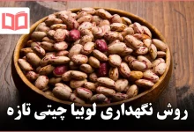 روش نگهداری لوبیا چیتی تازه
