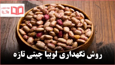 روش نگهداری لوبیا چیتی تازه