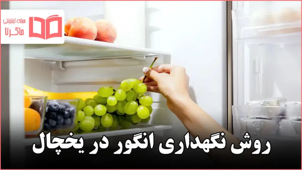 روش نگهداری انگور در یخچال