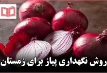 روش نگهداری پیاز برای زمستان