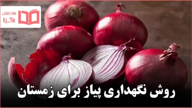روش نگهداری پیاز برای زمستان