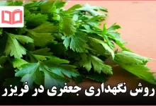 روش نگهداری جعفری در فریزر