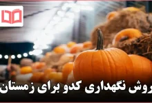 روش نگهداری کدو برای زمستان