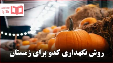روش نگهداری کدو برای زمستان