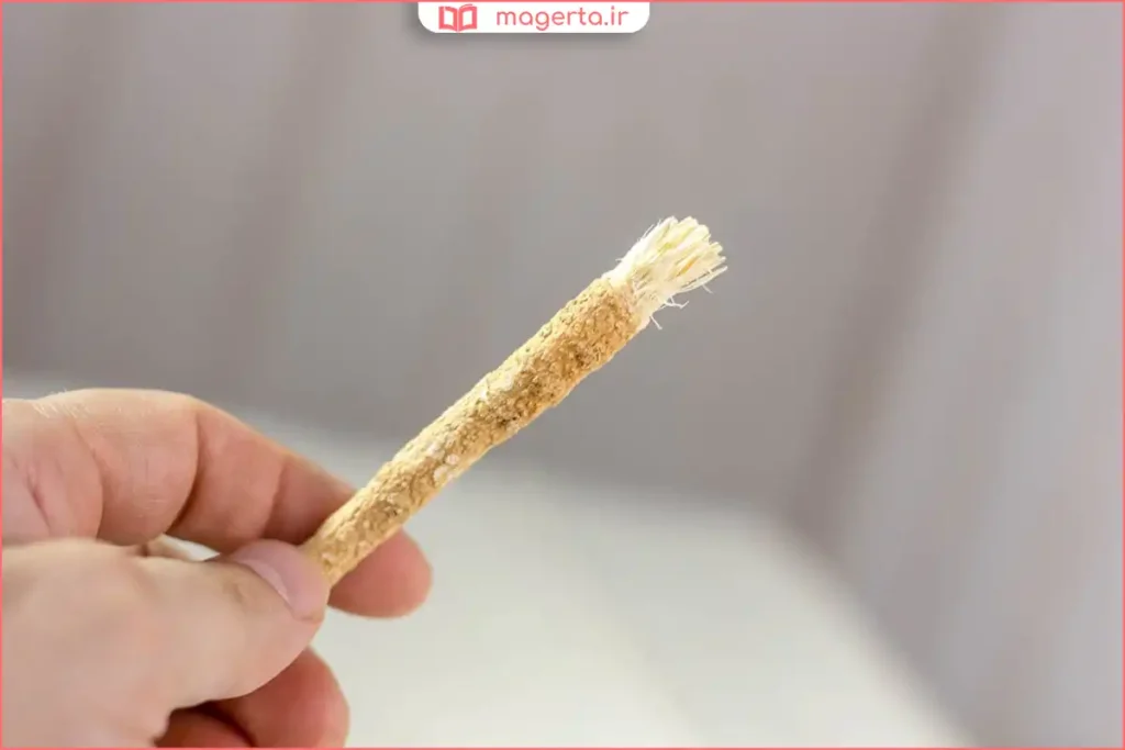 چوب مسواک طبیعی با بافت فیبری مناسب تمیز کردن دندانها