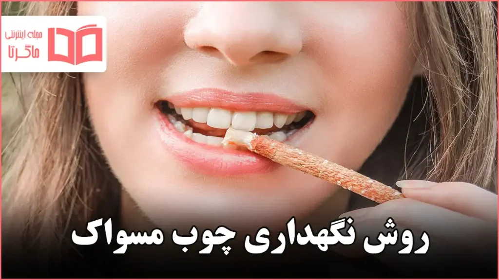 روش نگهداری چوب مسواک