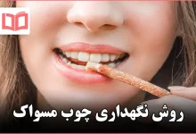 روش نگهداری چوب مسواک
