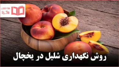 روش نگهداری شلیل در یخچال