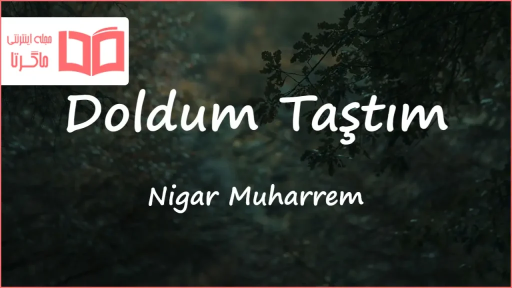 متن و ترجمه آهنگ Doldum Taştım از Nigar Muharrem