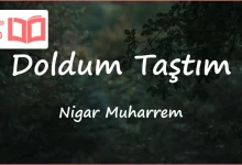 متن و ترجمه آهنگ Doldum Taştım از Nigar Muharrem
