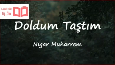 متن و ترجمه آهنگ Doldum Taştım از Nigar Muharrem