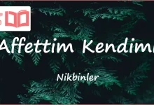 متن و ترجمه آهنگ Affettim Kendimi از Nikbinler