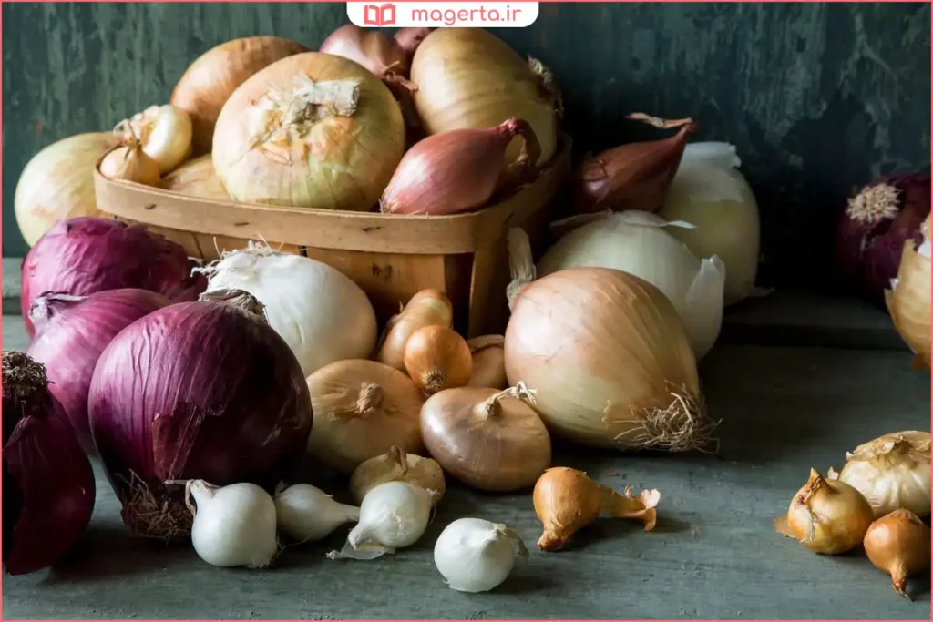 قرار دادن پیازها در محیط خشک و خنک داخل منزل