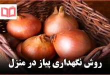 روش نگهداری پیاز در منزل