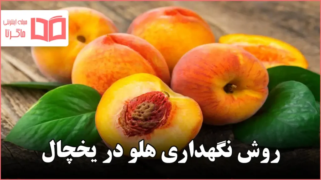 روش نگهداری هلو در یخچال