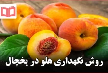 روش نگهداری هلو در یخچال