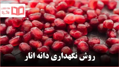 روش نگهداری دانه انار