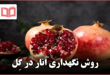 روش نگهداری انار در گِل