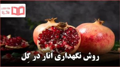 روش نگهداری انار در گِل