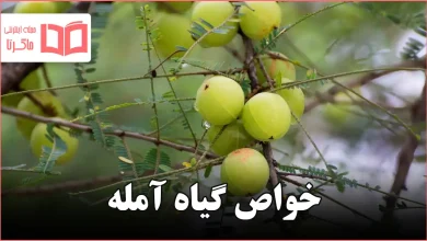 خواص گیاه آمله