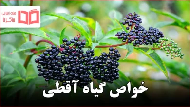 خواص گیاه آقطی