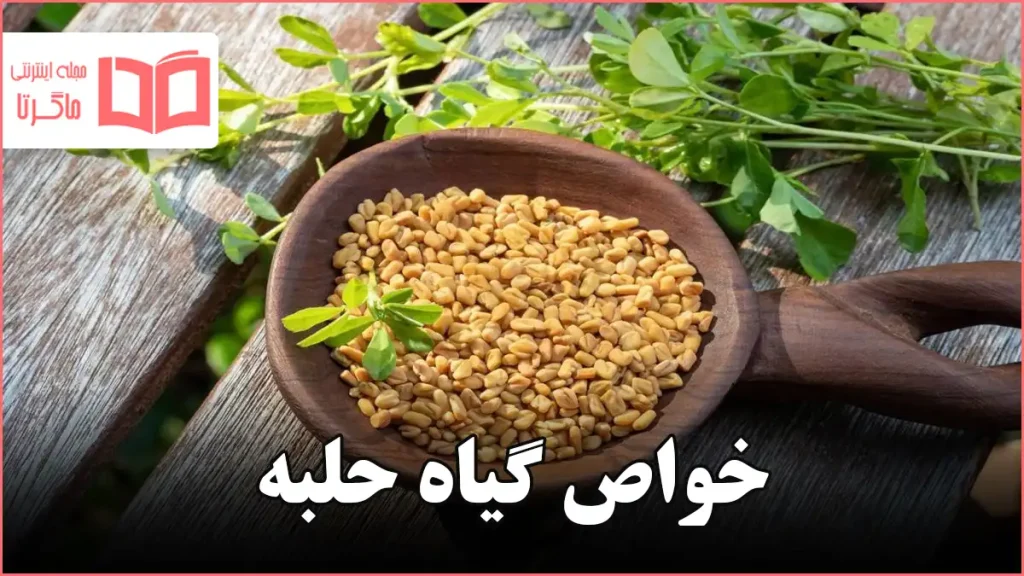 خواص گیاه حلبه