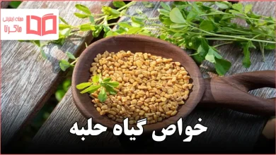 خواص گیاه حلبه